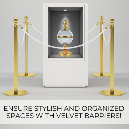 Gold stanchions with white velvet ropes guarding a museum display case