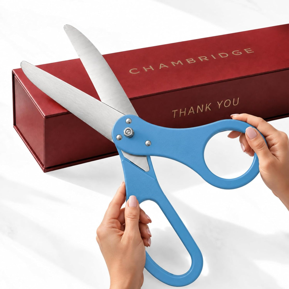20 inch light blue ribbon cutting scissors — Chambridge