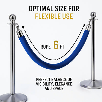 VIP Velvet Rope 6.5 ft with Gold & Silver Snap Ends