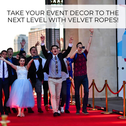 Red velvet rope set lining a glamorous red carpet event entrance